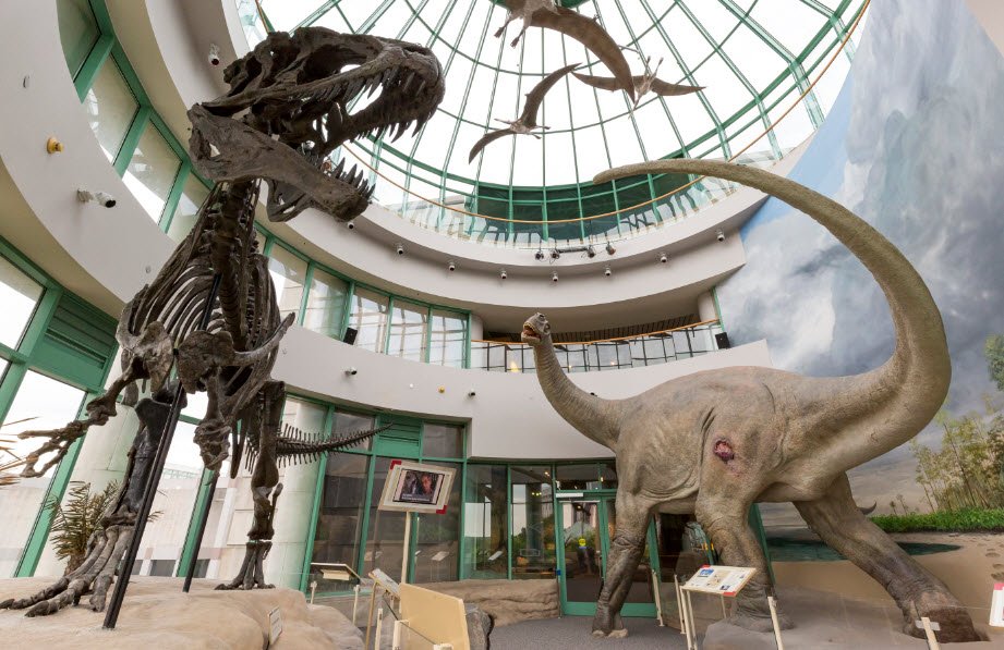 North Carolina Museum of Natural Sciences, North Carolina, USA